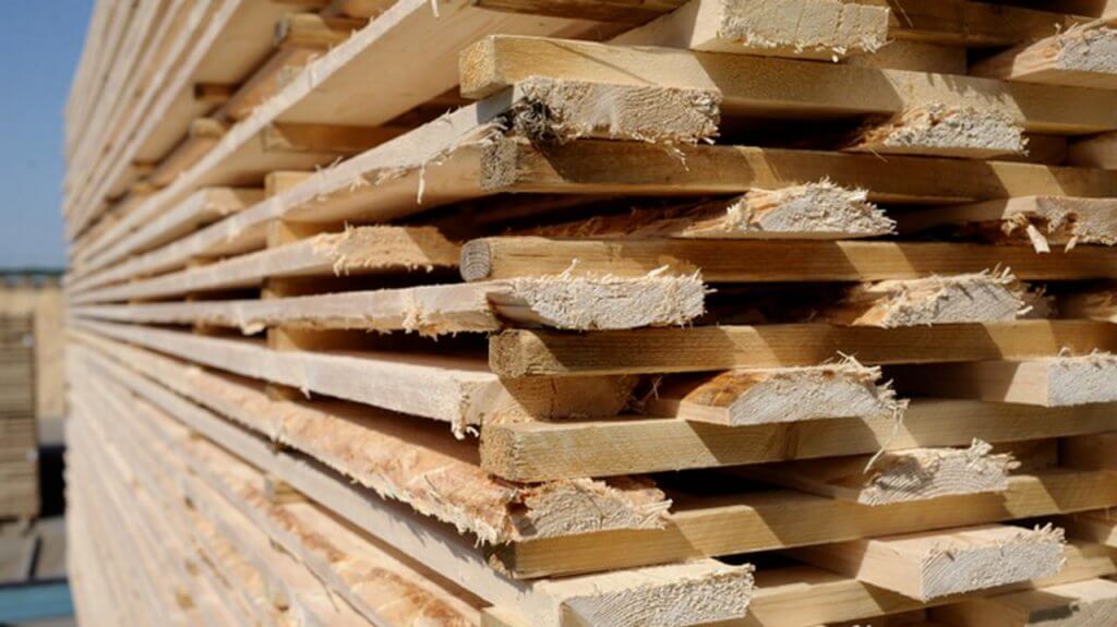 Батарея из древесины: возможно ли это?